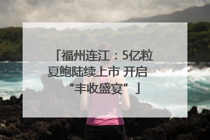 福州连江：5亿粒夏鲍陆续上市 开启“丰收盛宴”