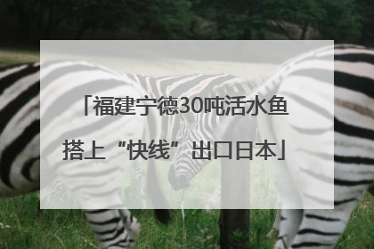 福建宁德30吨活水鱼搭上“快线”出口日本