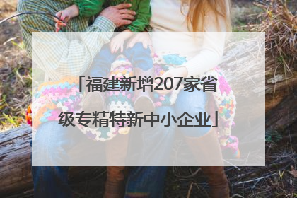 福建新增207家省级专精特新中小企业