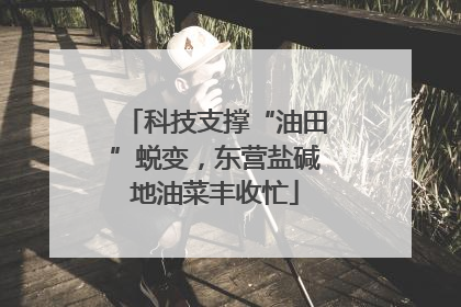 科技支撑“油田”蜕变，东营盐碱地油菜丰收忙