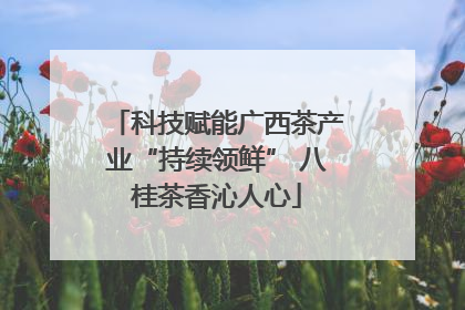 科技赋能广西茶产业“持续领鲜” 八桂茶香沁人心