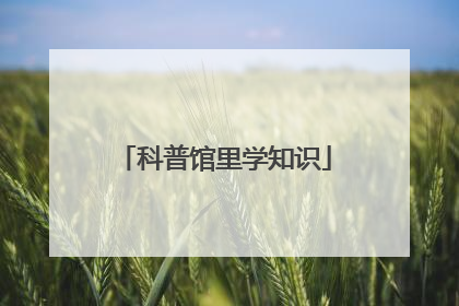 科普馆里学知识