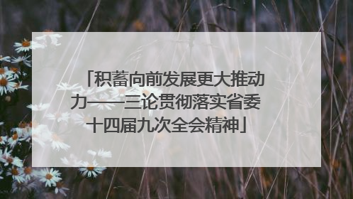 积蓄向前发展更大推动力——三论贯彻落实省委十四届九次全会精神