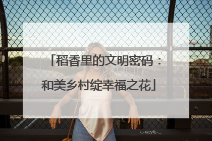 稻香里的文明密码：和美乡村绽幸福之花
