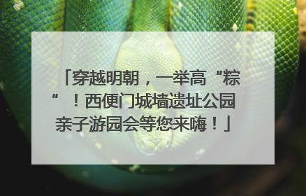穿越明朝，一举高“粽”！西便门城墙遗址公园亲子游园会等您来嗨！