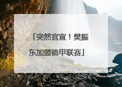 突然官宣！樊振东加盟德甲联赛