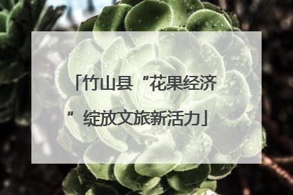 竹山县“花果经济”绽放文旅新活力