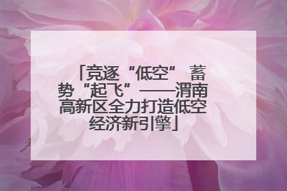 竞逐“低空” 蓄势“起飞”——渭南高新区全力打造低空经济新引擎