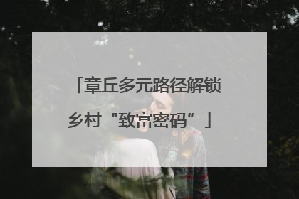 章丘多元路径解锁乡村“致富密码”