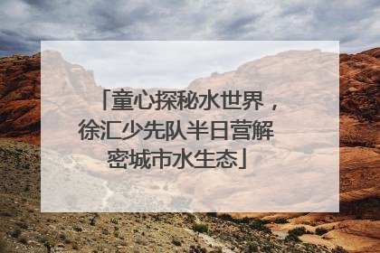 童心探秘水世界，徐汇少先队半日营解密城市水生态