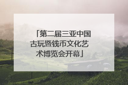 第二届三亚中国古玩暨钱币文化艺术博览会开幕