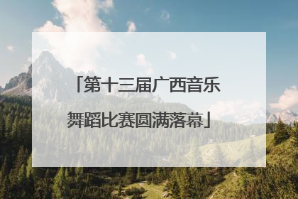 第十三届广西音乐舞蹈比赛圆满落幕