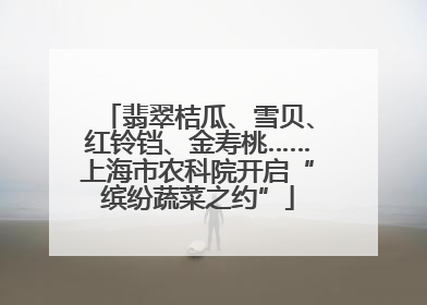 翡翠桔瓜、雪贝、红铃铛、金寿桃……上海市农科院开启“缤纷蔬菜之约”