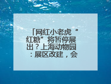 网红小老虎“红糖”将暂停展出？上海动物园：展区改建，会安排展出计划