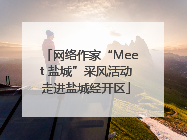 网络作家“Meet 盐城”采风活动走进盐城经开区