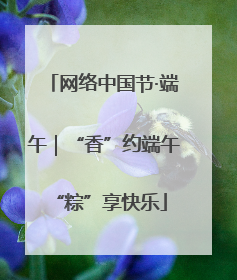 网络中国节·端午｜“香”约端午 “粽”享快乐