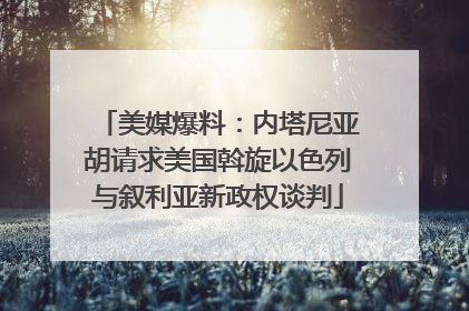 美媒爆料：内塔尼亚胡请求美国斡旋以色列与叙利亚新政权谈判
