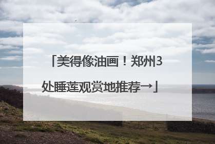 美得像油画！郑州3处睡莲观赏地推荐→