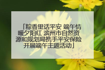 粽香里话平安 端午情暖夕阳红 滨州市自然资源和规划局携手平安保险开展端午主题活动