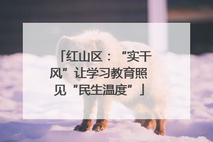 红山区：“实干风”让学习教育照见“民生温度”