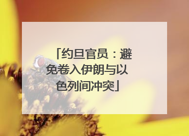 约旦官员：避免卷入伊朗与以色列间冲突