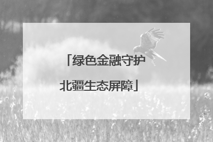 绿色金融守护北疆生态屏障