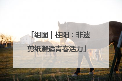 组图｜桂阳：非遗剪纸邂逅青春活力