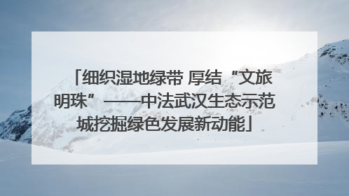 细织湿地绿带 厚结“文旅明珠”——中法武汉生态示范城挖掘绿色发展新动能