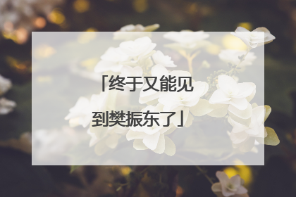 终于又能见到樊振东了