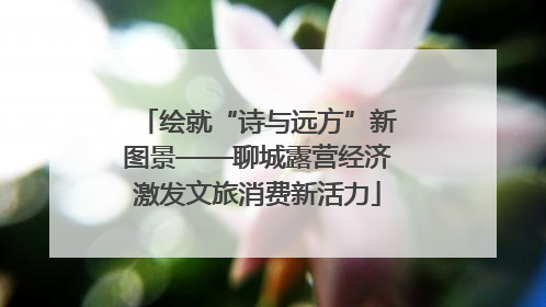 绘就“诗与远方”新图景——聊城露营经济激发文旅消费新活力