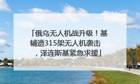 俄乌无人机战升级！基辅遭315架无人机袭击，泽连斯基紧急求援