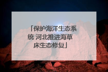 保护海洋生态系统 河北推进海草床生态修复
