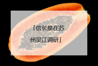 信长星在苏州吴江调研