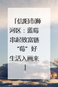 信阳市浉河区：蓝莓串起致富链 “莓”好生活入画来