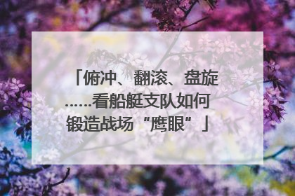 俯冲、翻滚、盘旋……看船艇支队如何锻造战场“鹰眼”