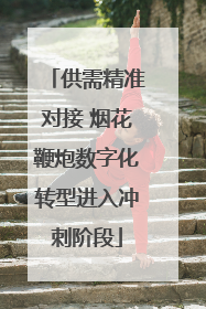 供需精准对接 烟花鞭炮数字化转型进入冲刺阶段