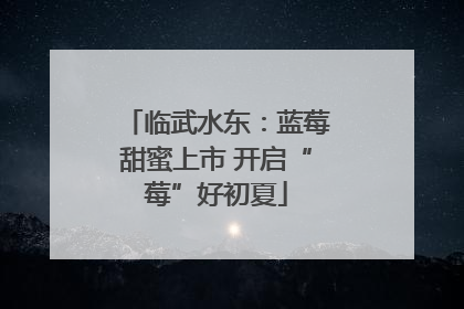 临武水东：蓝莓甜蜜上市 开启“莓”好初夏