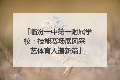 临汾一中第一附属学校：技能赛场展风采 艺体育人谱新篇