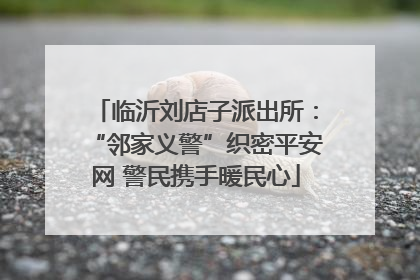 临沂刘店子派出所：“邻家义警”织密平安网 警民携手暖民心