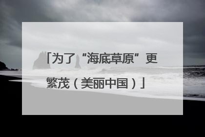 为了“海底草原”更繁茂（美丽中国）