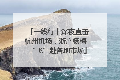 一线行丨深夜直击杭州机场，浙产杨梅“飞”赴各地市场