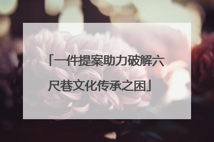 一件提案助力破解六尺巷文化传承之困