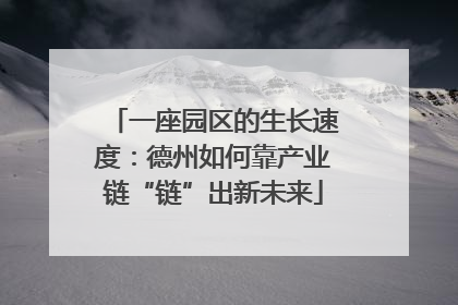 一座园区的生长速度：德州如何靠产业链“链”出新未来