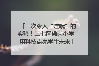 一次令人“哇哦”的实验！二七区佛岗小学用科技点亮学生未来