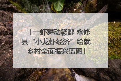 一虾舞动赣鄱 永修县“小龙虾经济”绘就乡村全面振兴蓝图