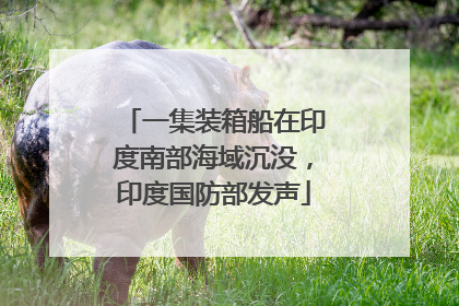 一集装箱船在印度南部海域沉没，印度国防部发声