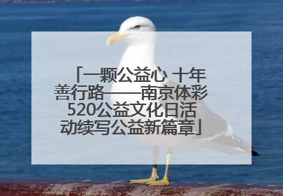一颗公益心 十年善行路——南京体彩520公益文化日活动续写公益新篇章