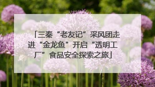三秦“老友记”采风团走进“金龙鱼”开启“透明工厂”食品安全探索之旅
