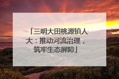 三明大田桃源镇人大：推动河流治理，筑牢生态屏障