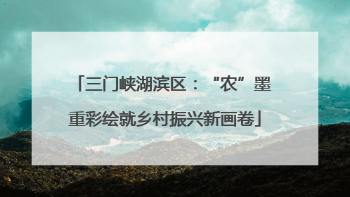 三门峡湖滨区：“农”墨重彩绘就乡村振兴新画卷